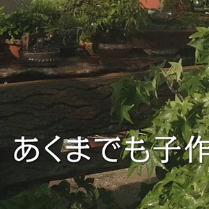 自分史動画 テロップ